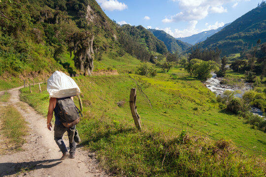 Man walking in the field
