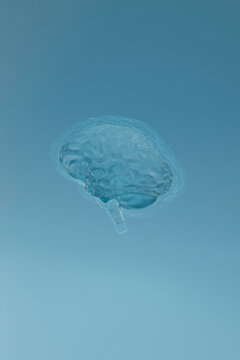Transparent Brain Wireframe Against Blue Background