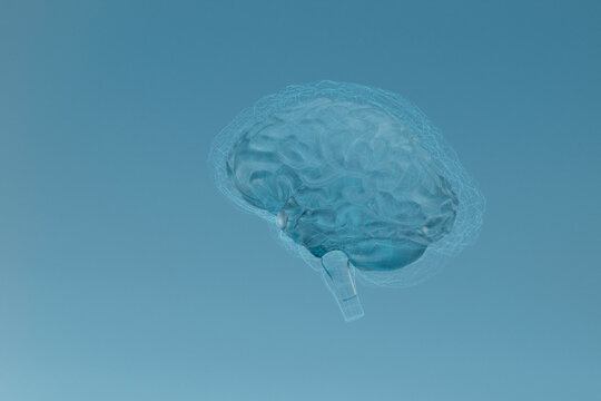 3D Render of Transparent Human Brain