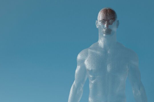 Transparent Torso with Visible Brain