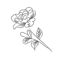 Hand drawn flat design simple flower outline
