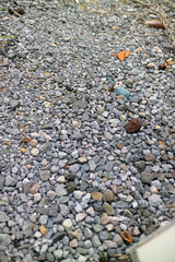 hundreds of small, brightly colored pebbles in a garden
