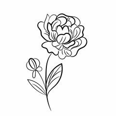 Hand drawn flat design simple flower outline
