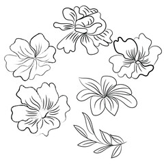 Hand drawn flat design simple flower outline
