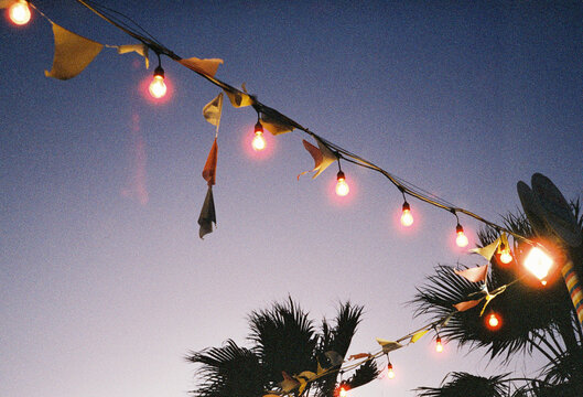 Light bulbs in the night