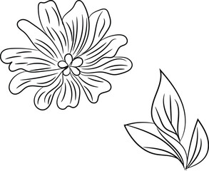 Hand drawn flat design simple flower outline
