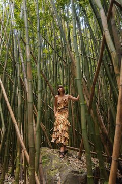 Outdoor scene with a woman in the jungle