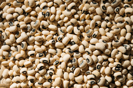Black Eyed Peas Closeup