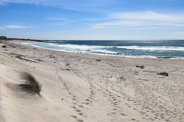 Pristine Beach with Windswept Dunes