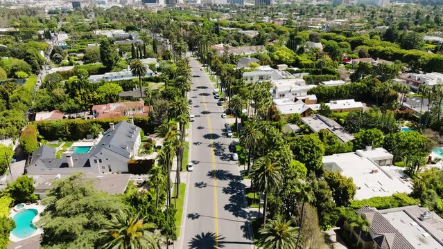 Beverly Hills Aerial 2024 - Flying above trees and road to dollying left and rising to reveal greater city and neighborhood