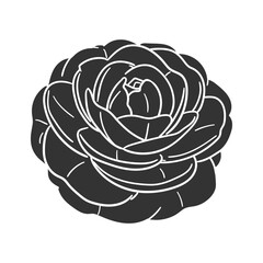 Camelia Icon Silhouette Illustration. Flower Vector Graphic Pictogram Symbol Clip Art. Doodle Sketch Black Sign.