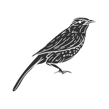recommend clip art: Cactus Wren Icon Silhouette Illustration. Bird Vector Graphic Pictogram Symbol Clip Art. Doodle Sketch Black Sign.