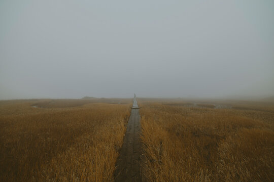 A Solitary Figure in the Mist.