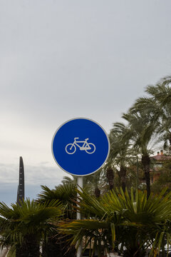 Blue bicycle  sign with green palms.