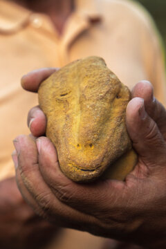 Man holding a rock
