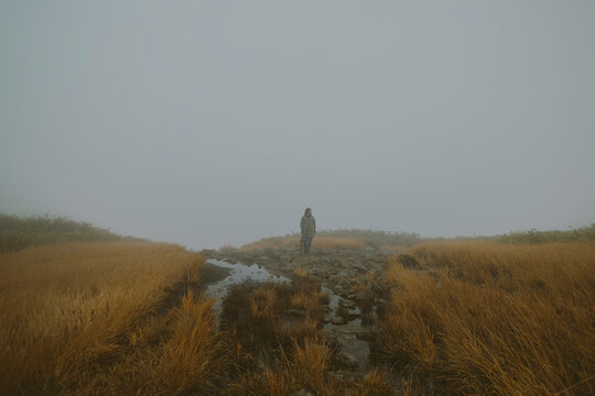 A Solitary Figure in the Mist.