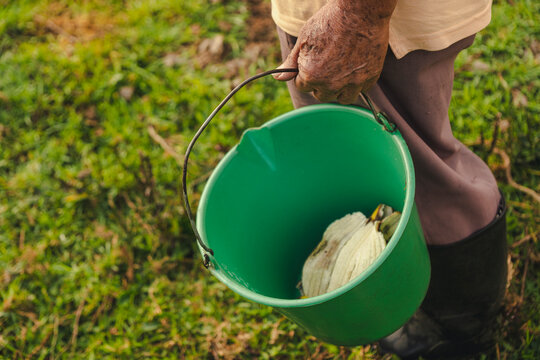 Man holding a bucket