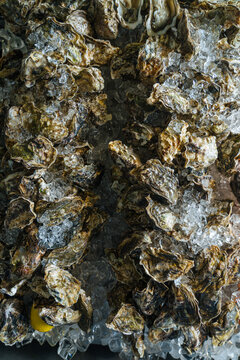 A big pile of Oysters on a Table