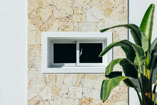 Modern window on a textured stone wall with tropical plant