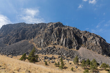 Rocky mountain with Ocote trees (Pinus montezumae) at the base