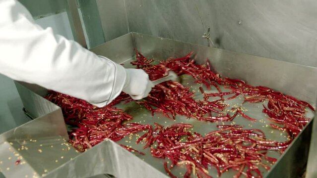 Asando chiles rojos en parrilla 