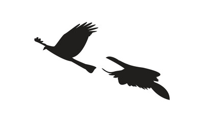 Flying Birds Vector And Illustration. 