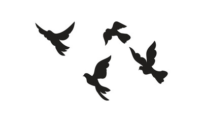 Flying Birds Vector And Illustration. 