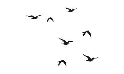 Flying Birds Vector And Illustration. 