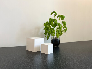 Abstract empty white podium with green leaves on white background. Mock up stand for product presentation. Studio photo. Minimal concept. Advertising template