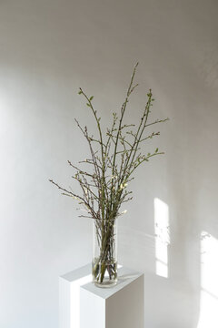 Minimalistic flower arrangements