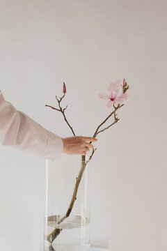 Minimalistic flower arrangements