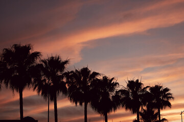 sunset on the beach