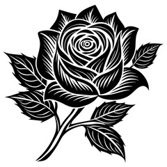 rose-linocut-with-branch-white-background