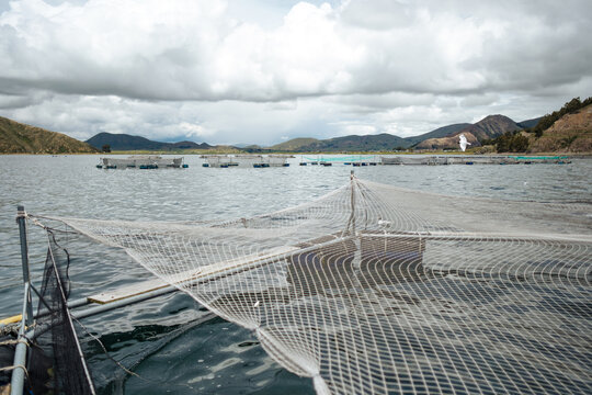 fish farm 