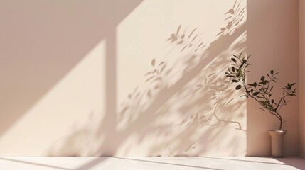 Beige wall with shadow and pastel banner in the background