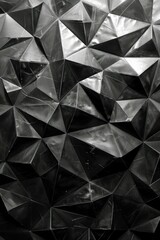 Monochrome Minimalism: Enhancing the Walls Geometric Beauty