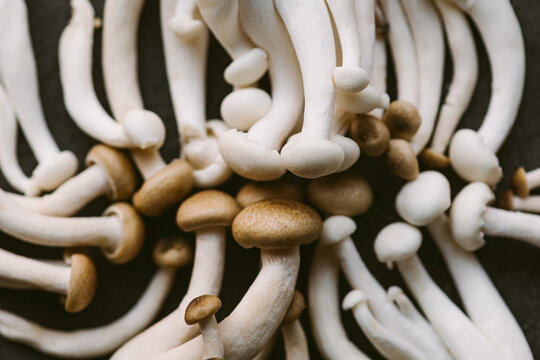 Enoki and Shiitake Mushrooms