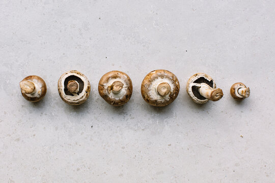 Rustic Mushroom Spread