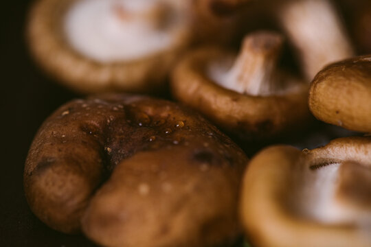 Shiitake Mushrooms Detail