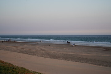 Sunsets in Taghazout, Morocco 
