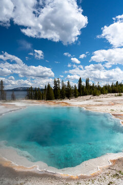 Hot Spring in Yellowstone 