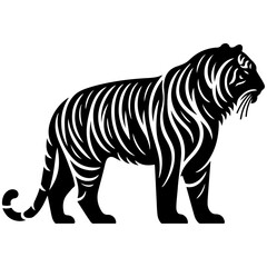 Tiger Head Vector Illustration for Tattoos, Wildlife Art, and Animal Mascots