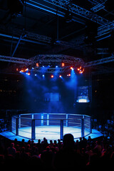 mixed martial arts arena