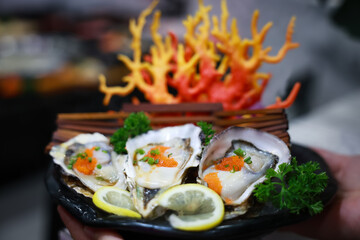 Fresh oysters are served with lemon in bowl with plenty of ice.