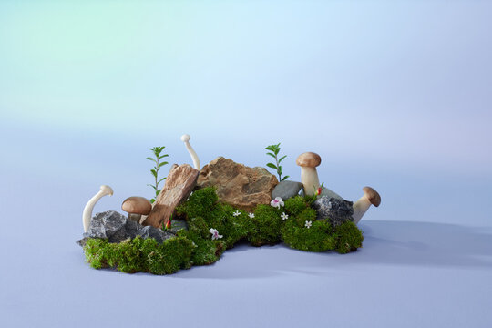 A stone podium with the background of moss and mushrooms