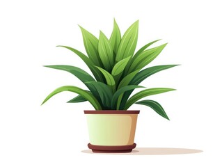 Plant illustration isolated on white background