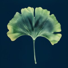 Artistic Blue Ginkgo Leaf Print on Dark Background: Nature-Inspired Contemporary Wall Art.