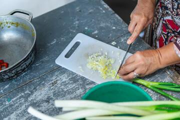 Woman chopping onion