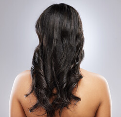 Hair care, health and back of woman in studio with natural, beauty and salon treatment for...