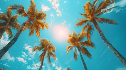 tropical getaway, tropical paradise with swaying palm trees under a clear blue sky, ideal setting for relaxation and escape on vacation